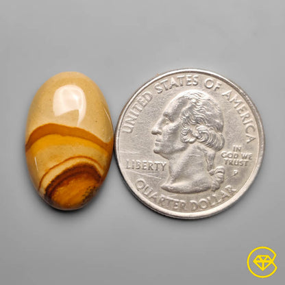 Owyhee Wild Horse Picture Jasper