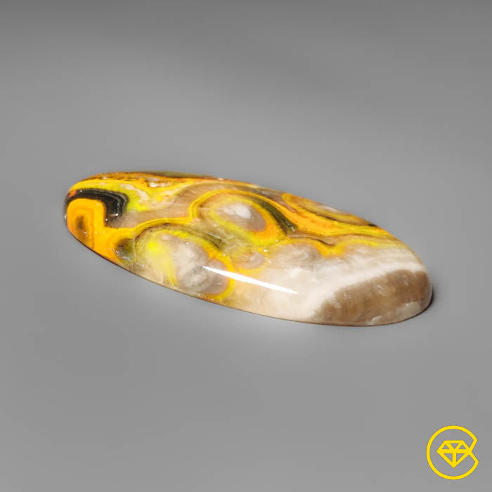 Rare Spiral Bumble Bee Jasper Cabochon