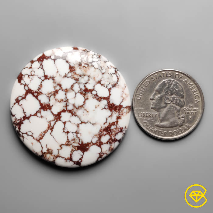Wild Horse Jasper Cabochon