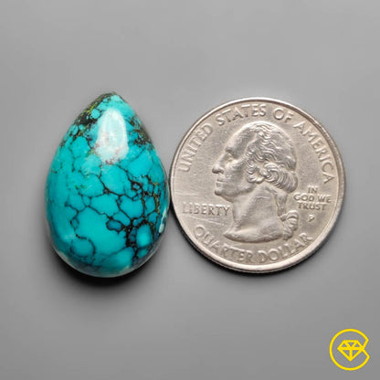 Hubei Turquoise Drop Cabochon