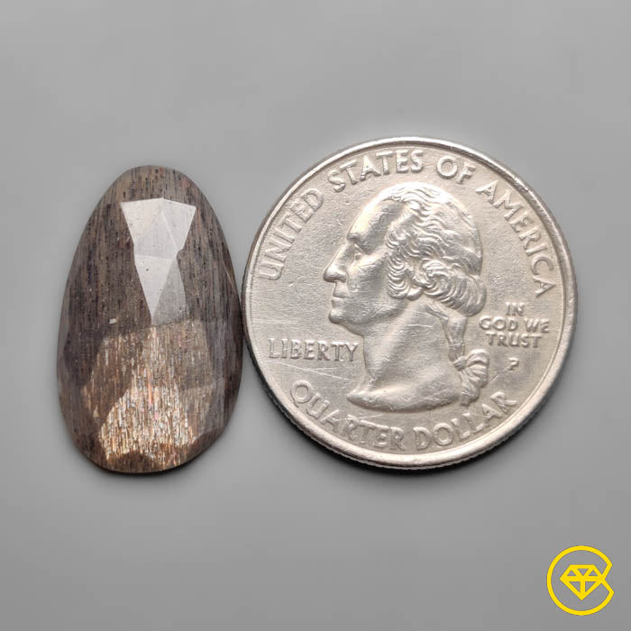 Rose Cut Meteor Shower Sunstone