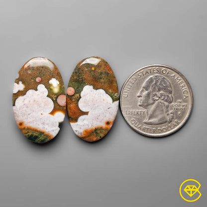 Orbicular Ocean Jasper Pair