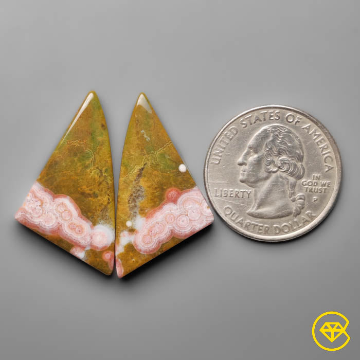 Orbicular Ocean Jasper Pair