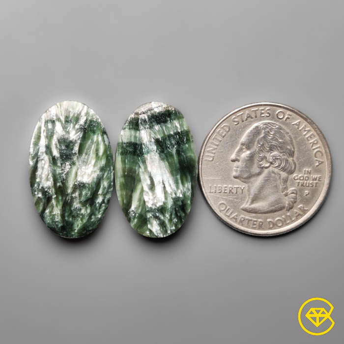 Seraphinites Pair