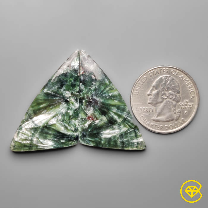 Seraphinites Pair