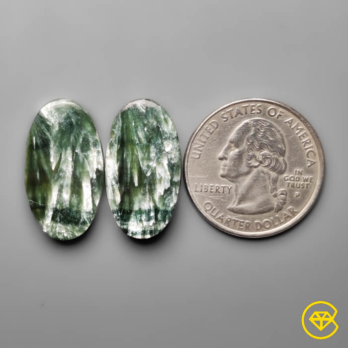 Seraphinites Pair