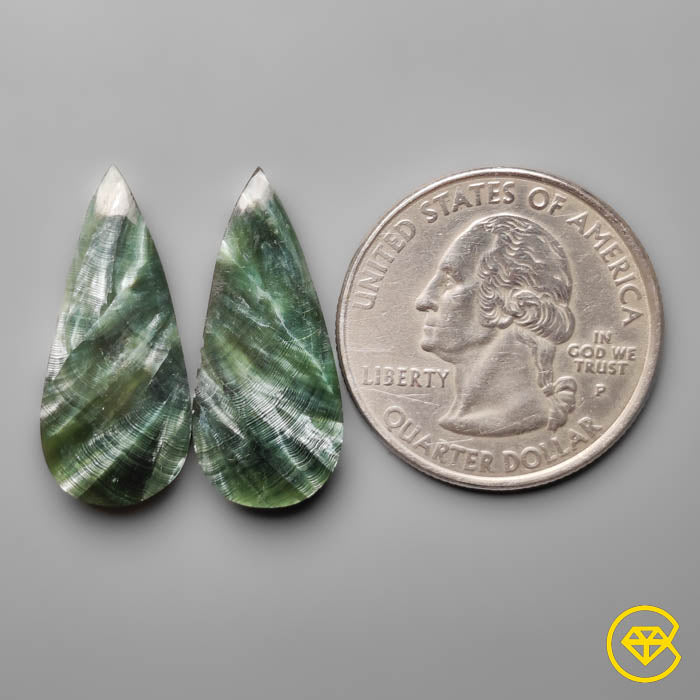 Seraphinites Pair