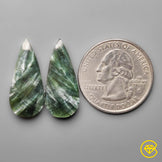 Seraphinites Pair