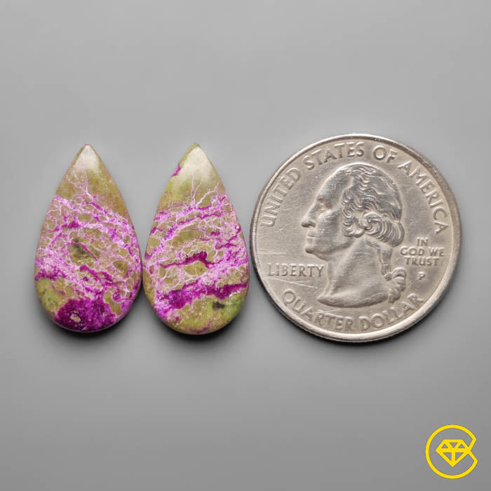 Stitchtites Pair