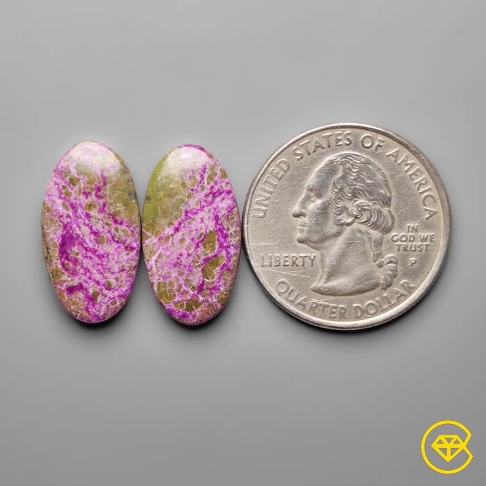 Stitchtites Pair