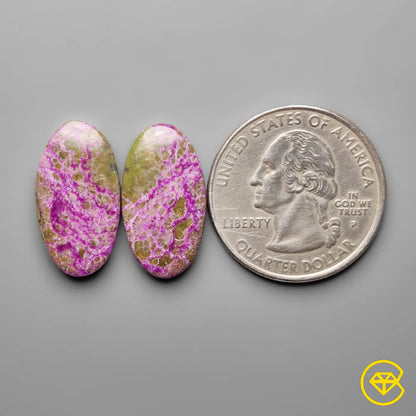 Stitchtites Pair