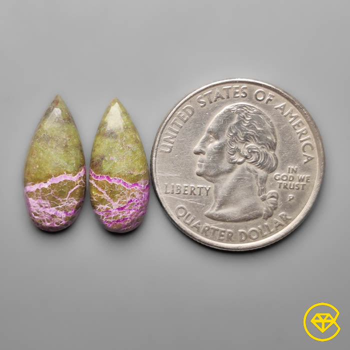 Stitchtites Pair