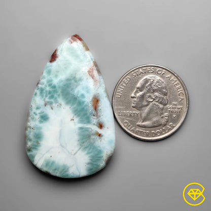 Red Moss Larimar Cabochon