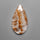Cacoxenite,Quartz