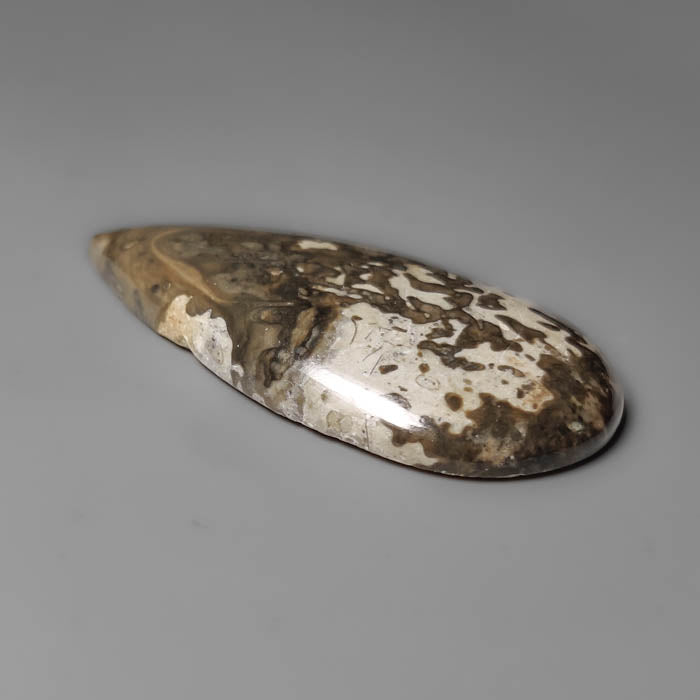 Volcanic Cotham Marble Cabochon