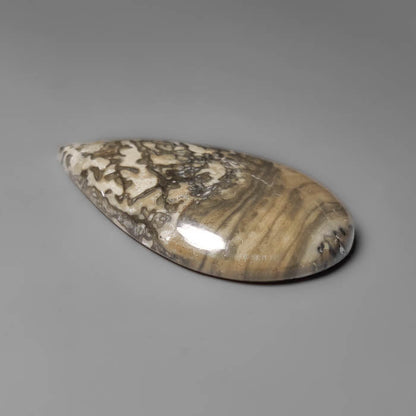 Volcanic Cotham Marble Cabochon