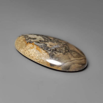 Volcanic Cotham Marble Cabochon