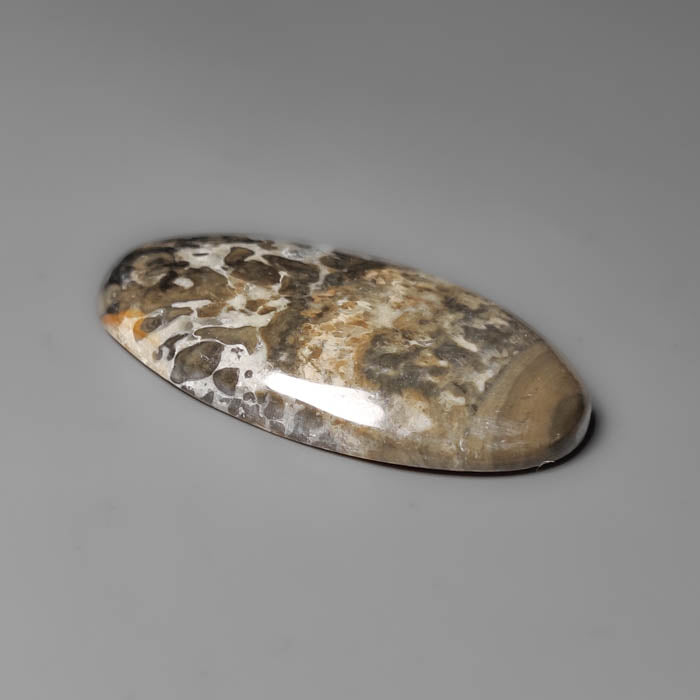 Volcanic Cotham Marble Cabochon
