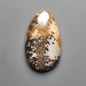 Volcanic Cotham Marble Cabochon