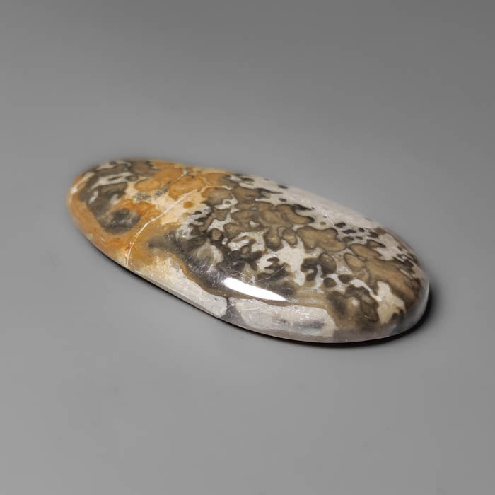 Volcanic Cotham Marble Cabochon