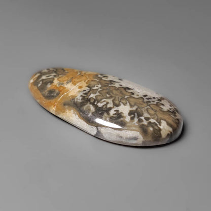 Volcanic Cotham Marble Cabochon