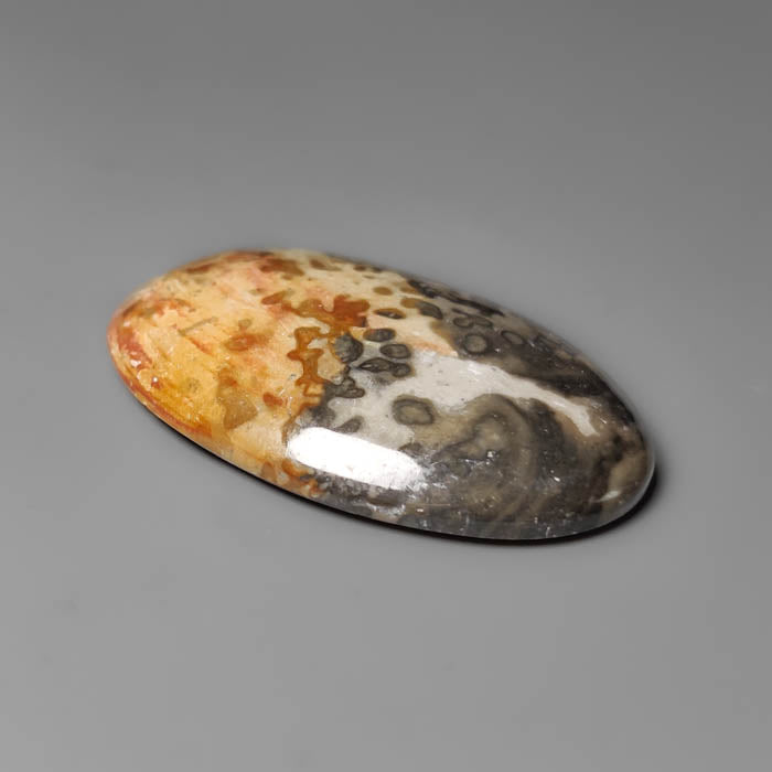Volcanic Cotham Marble Cabochon