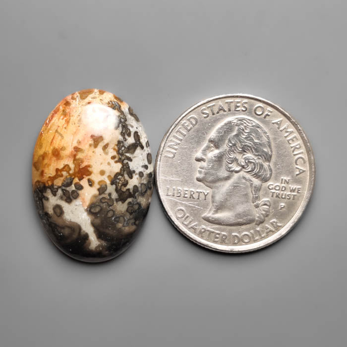 Volcanic Cotham Marble Cabochon