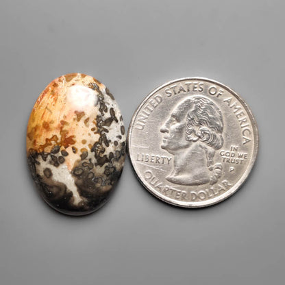 Volcanic Cotham Marble Cabochon