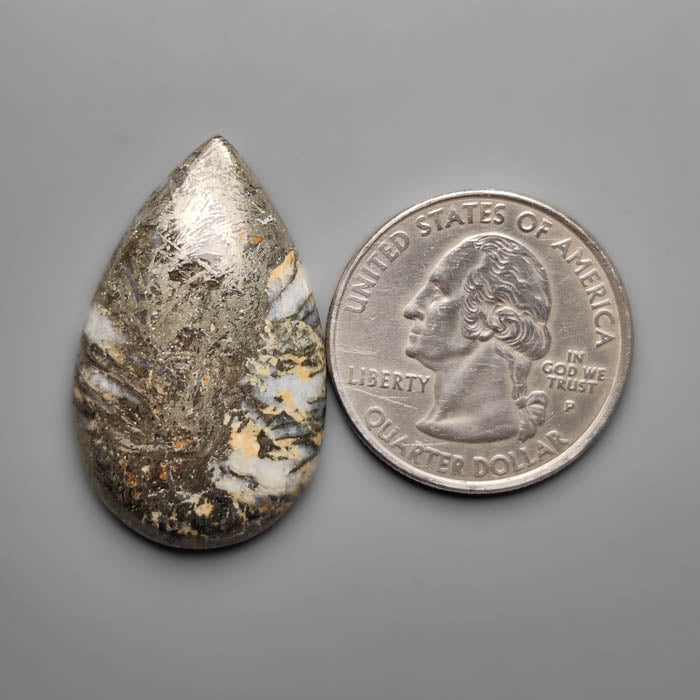 Feather Pyrite Cabochon