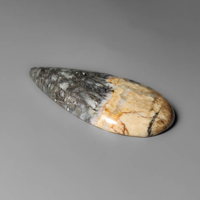Feather Pyrite Cabochon