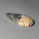 Feather Pyrite Cabochon