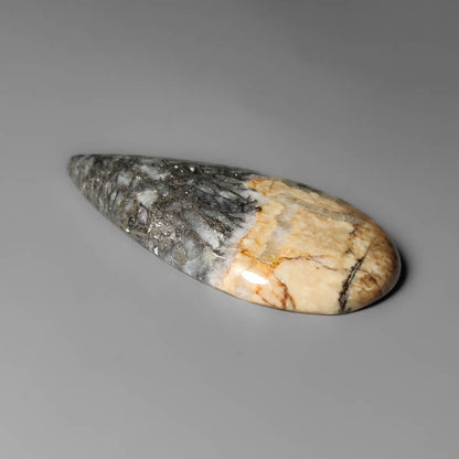 Feather Pyrite Cabochon