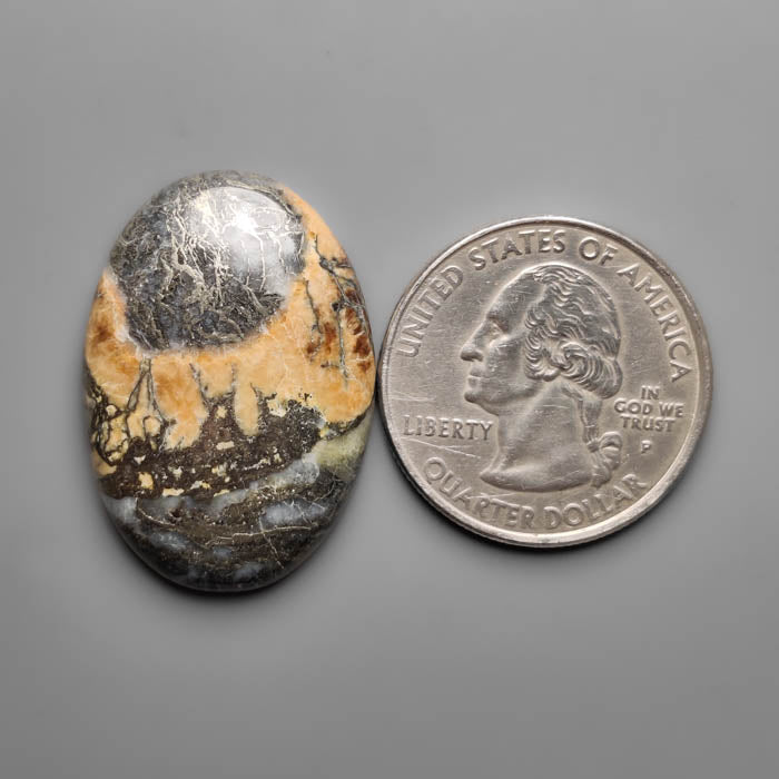 Feather Pyrite Cabochon