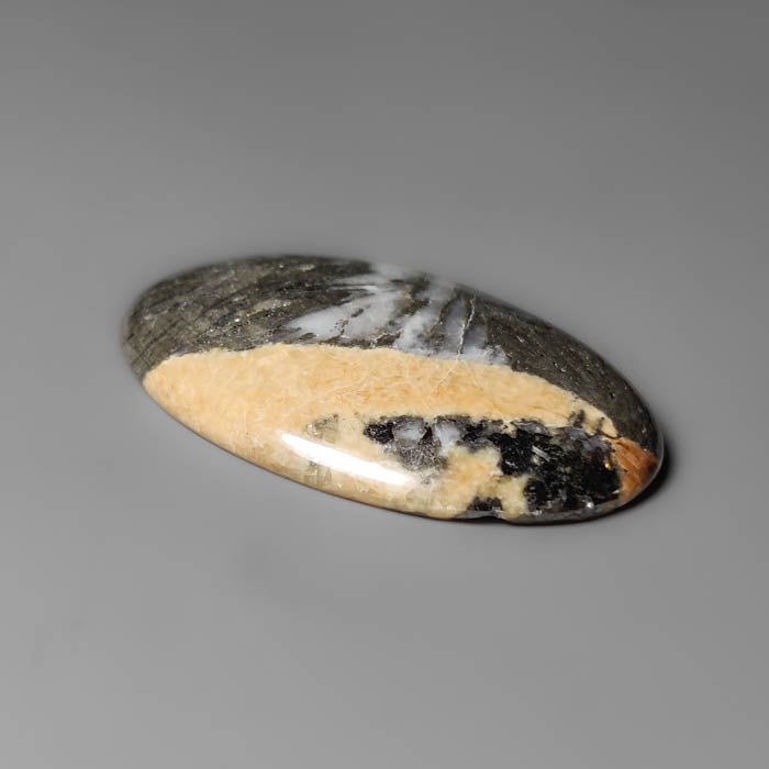 Feather Pyrite Cabochon
