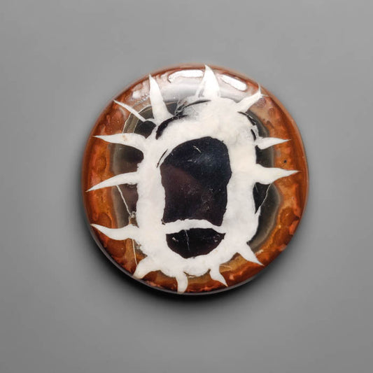Septarian