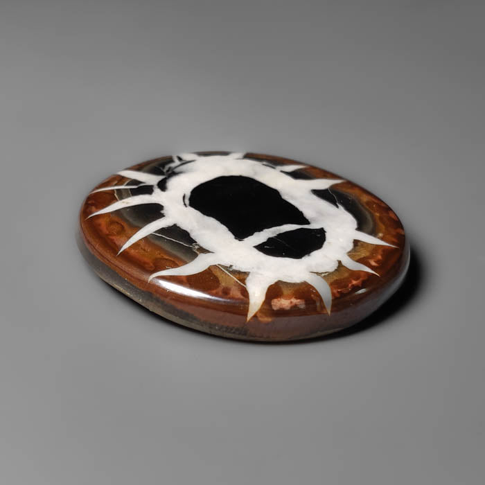Black Septarian Fossil Cabochon