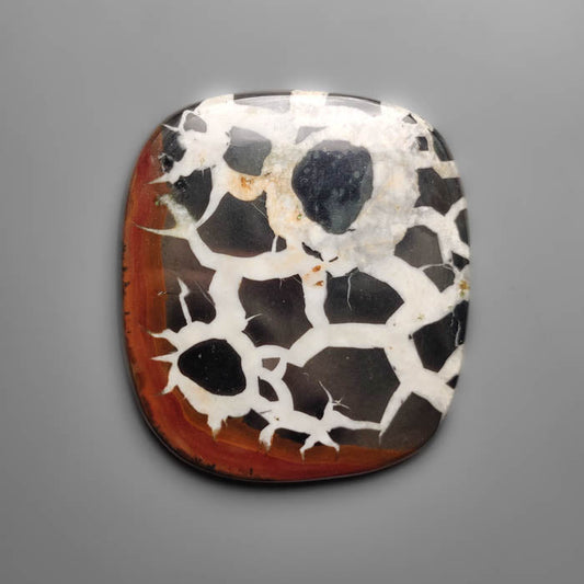 Septarian