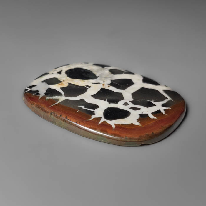 Black Septarian Fossil Cabochon