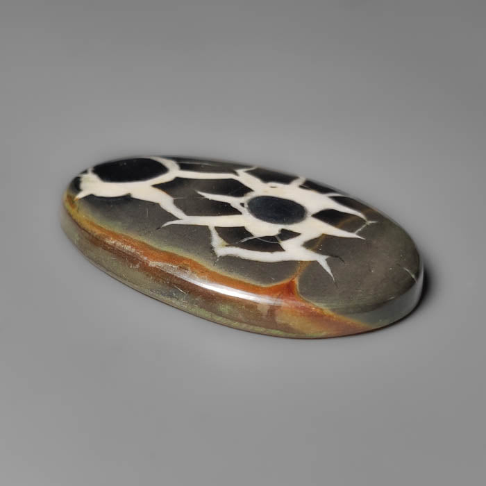 Black Septarian Fossil Cabochon