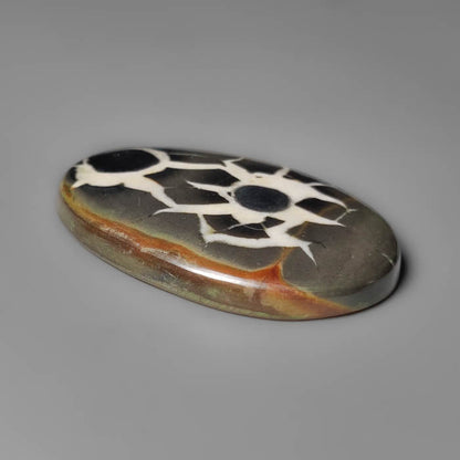 Black Septarian Fossil Cabochon