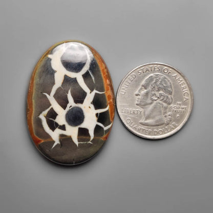 Black Septarian Fossil Cabochon