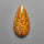 Palm Wood