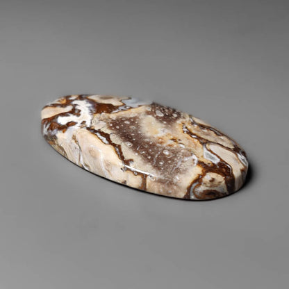 Palmroot Agate Cabochon