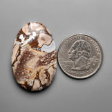 Palmroot Agate Cabochon
