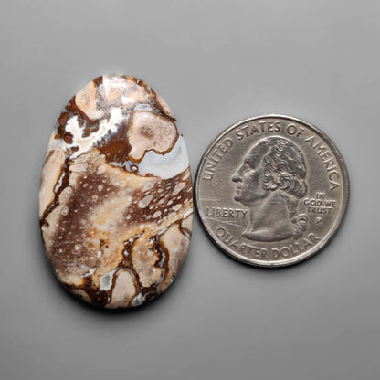 Palmroot Agate Cabochon
