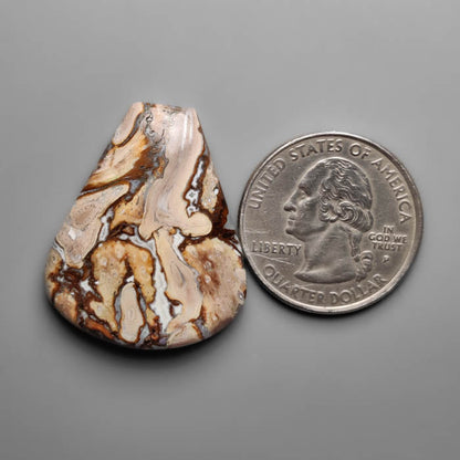 Palmroot Agate Cabochon