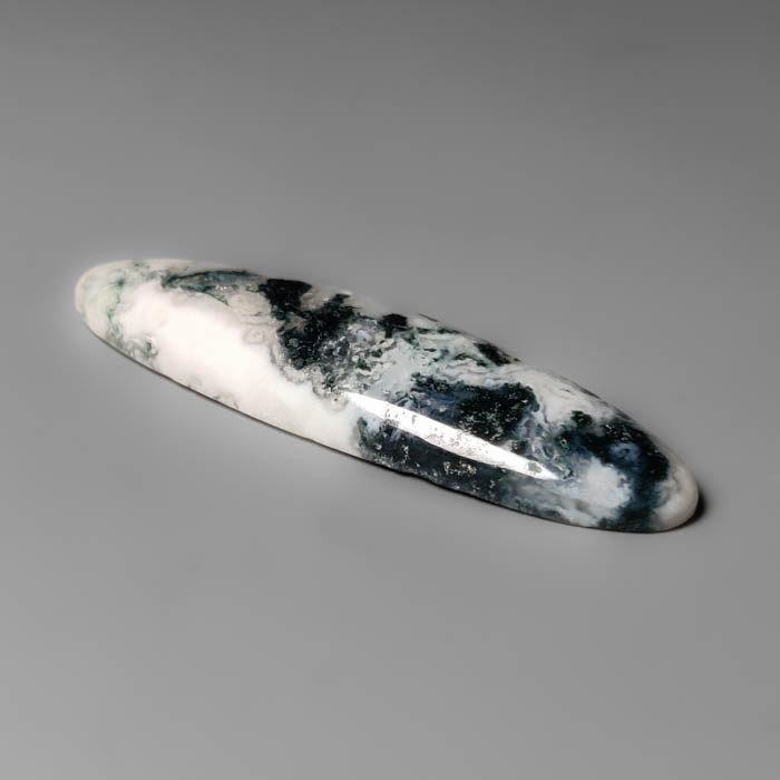 Tree Agate Cabochon