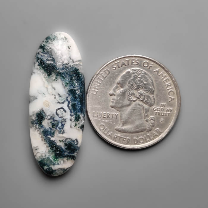 Tree Agate Cabochon