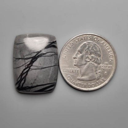 Picasso Jasper Cabochon