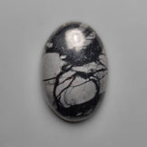 Picasso Jasper